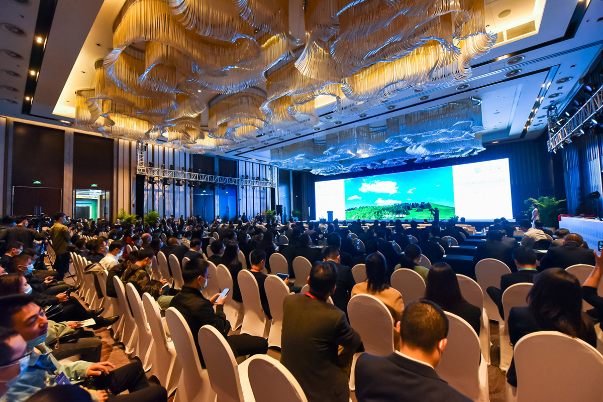 70a16363bfa6cd9fd07ea4910e4bc9ca